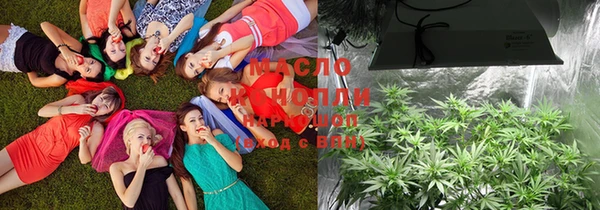 Альфа ПВП Богородск