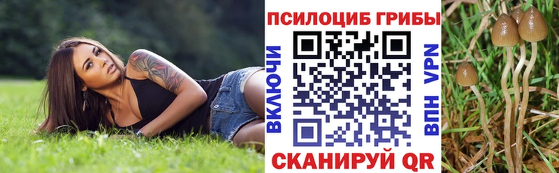 Галлюциногенные грибы мицелий  даркнет сайт  Яровое 