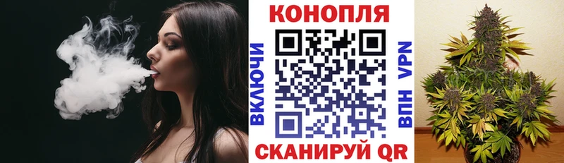 Конопля сатива  MEGA зеркало  Яровое 